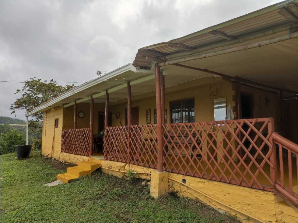 Se vende finca con casa campestre en filandia