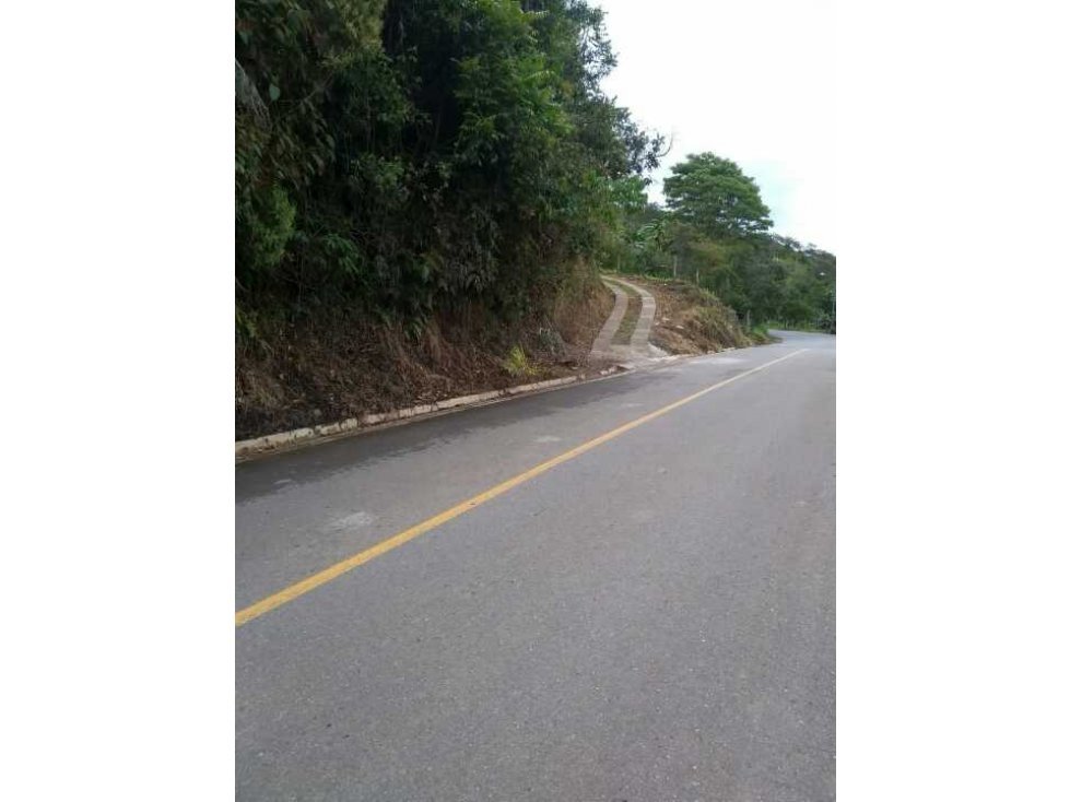 SE VENDE DOS LOTES EN YARUMAL ANTIOQUIA