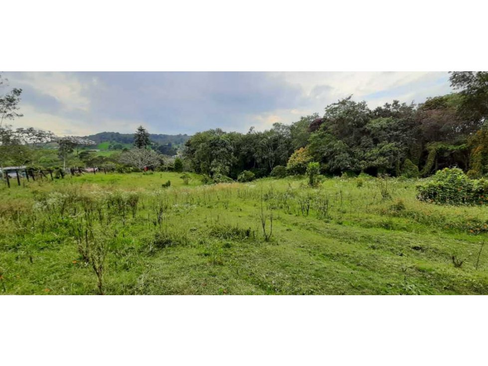 SE VENDE FINCA EN SANTA ELENA VEREDA EL PANTANILLO