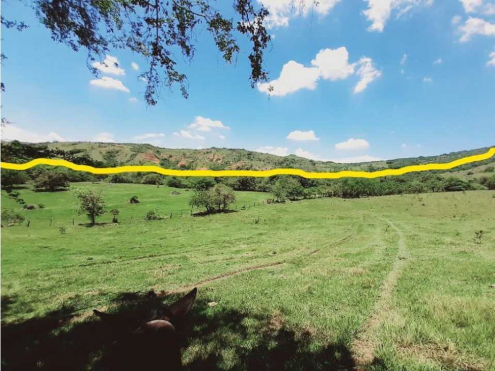 Se vende finca ganadera y para cultivo en yotoco