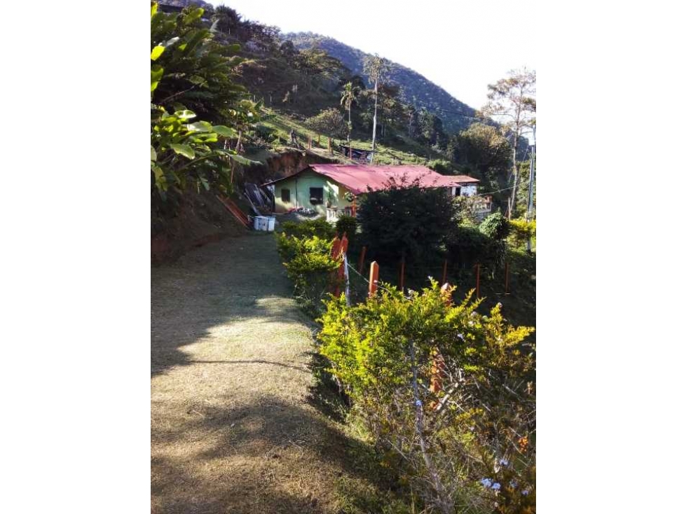 Vendo casa finca  vía la Quiebra Fredonia