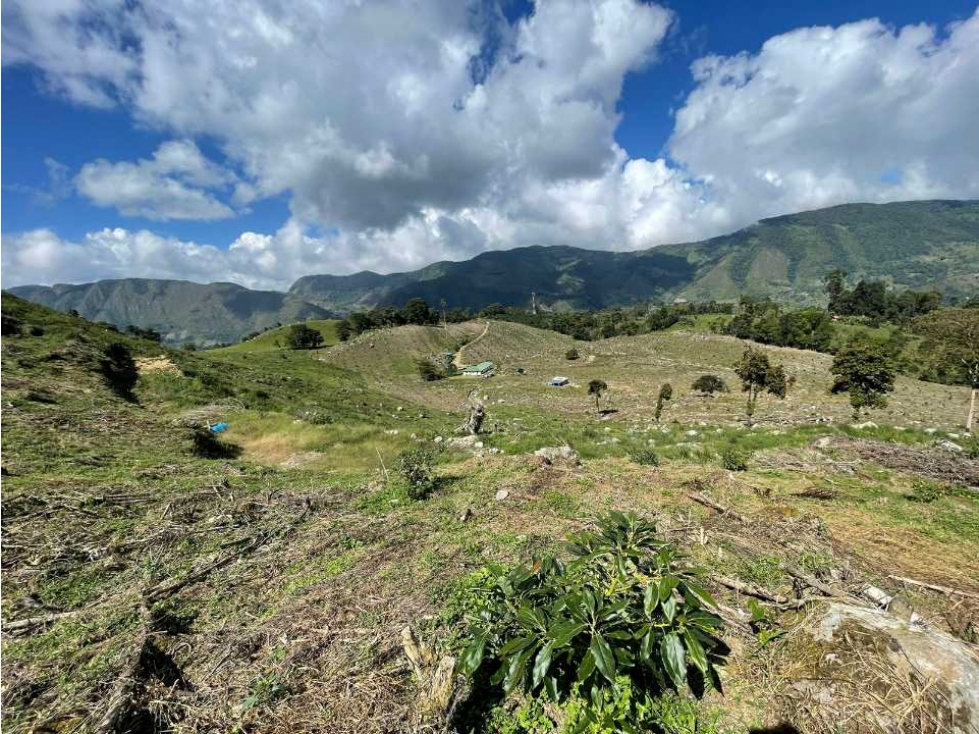 Vendo finca en Venecia cundinamarca