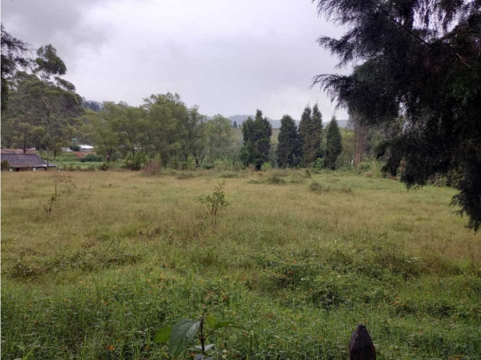 Vendo lote comercial en guarne Antioquia