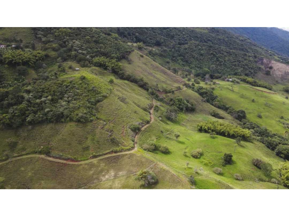 Vendo lote en La Buitrera, Palmira, Valle del Cauca