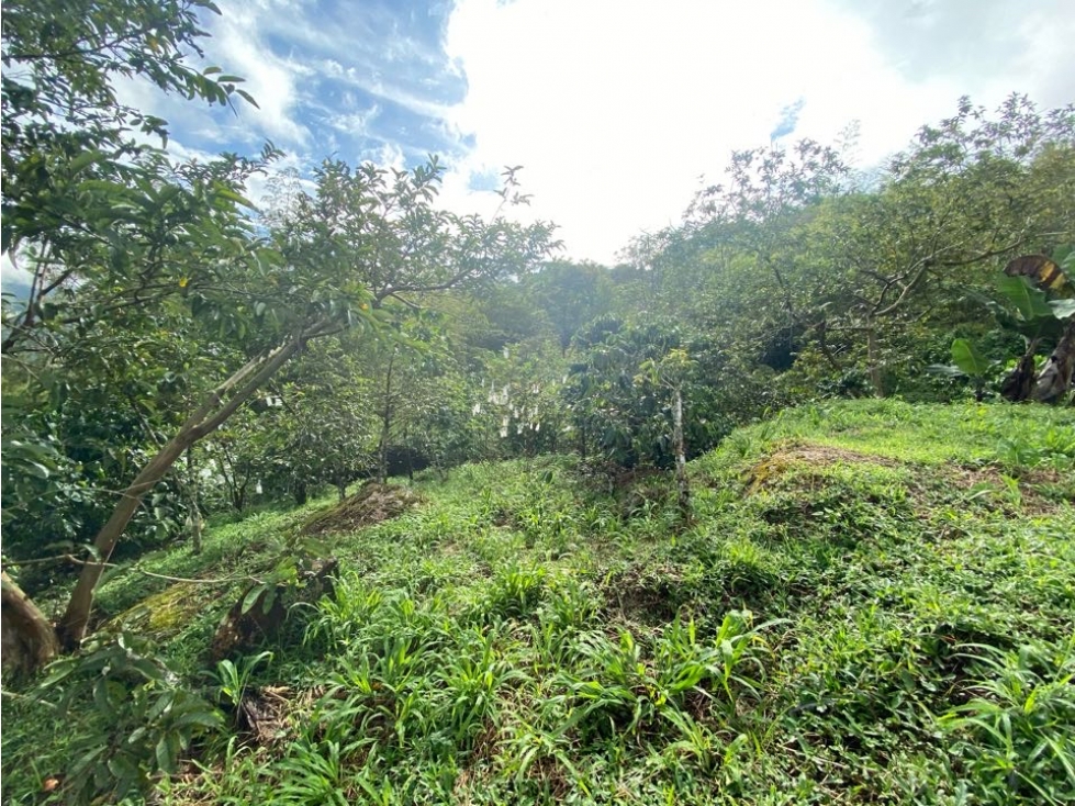 Vendo lote 2.700 m2 bien ubicado Cocorná, bosque nativo, vista