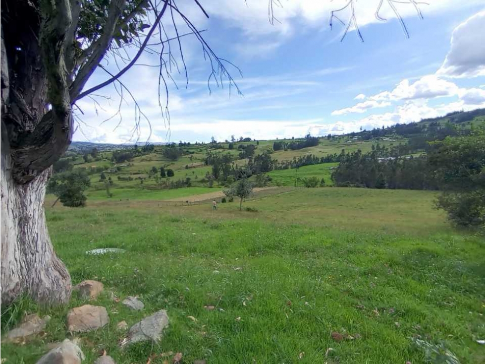 VENDO PRECIOSO LOTE . AREA 9.068 m2. SOTAQUIRÁ BOYACA