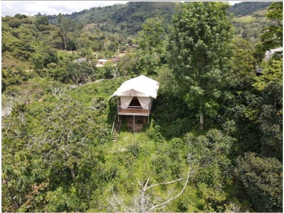 VENTA DE FINCA EN SALENTO QUINDIO