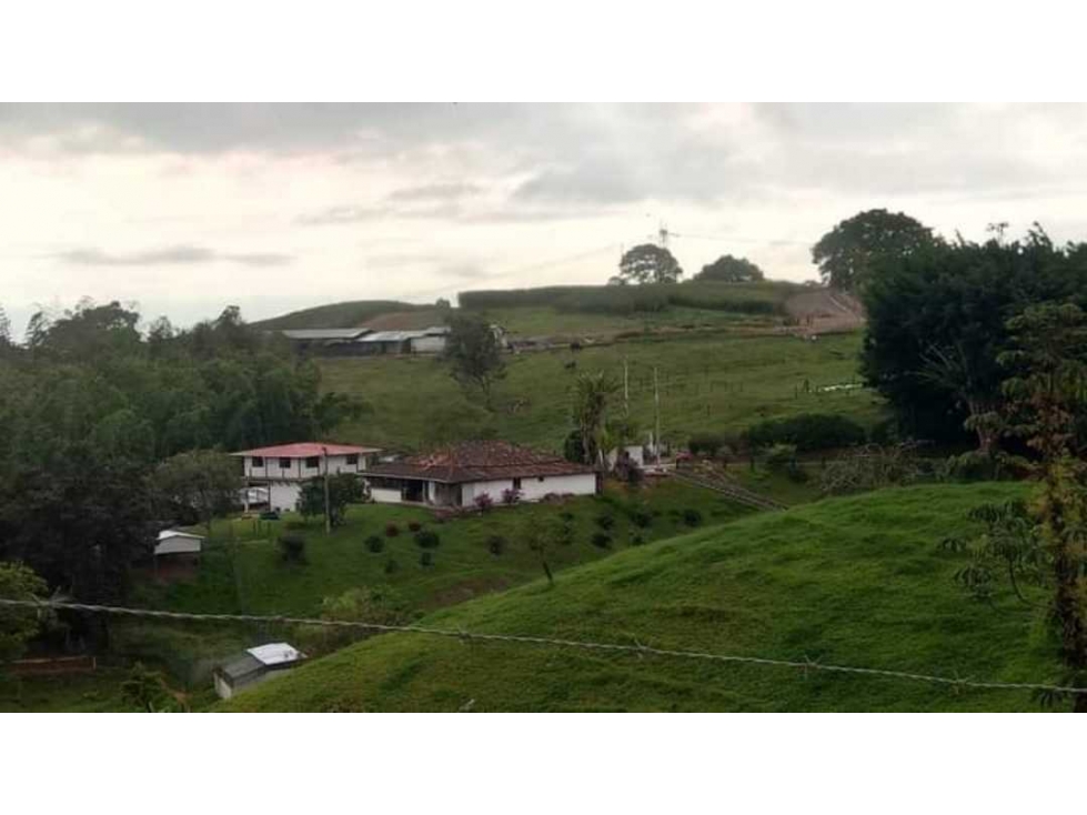 VENTA DE FINCA GANADERA YOTOCO VALLE