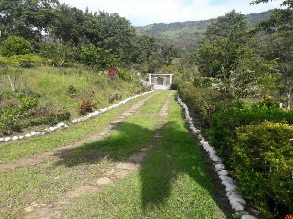 OPORTUNIDAD VENTA FINCA DE PANELA EN CHITARAQUE SANTANDER NEGOCIABLE