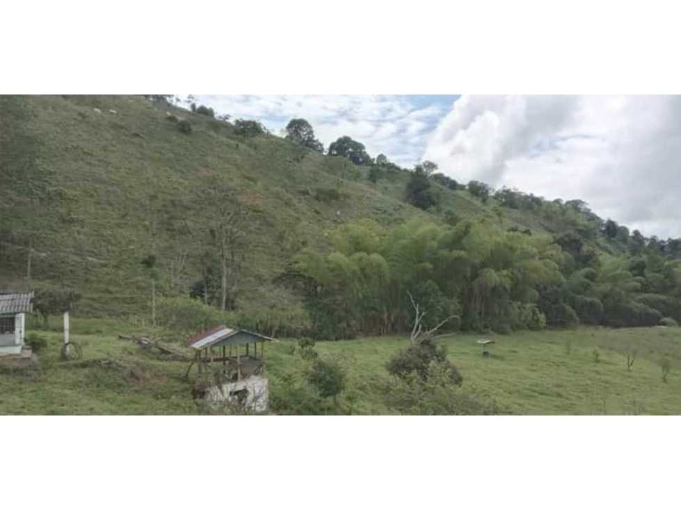 VENTA DE FINCA SAN ISIDRO OBANDO VALLE