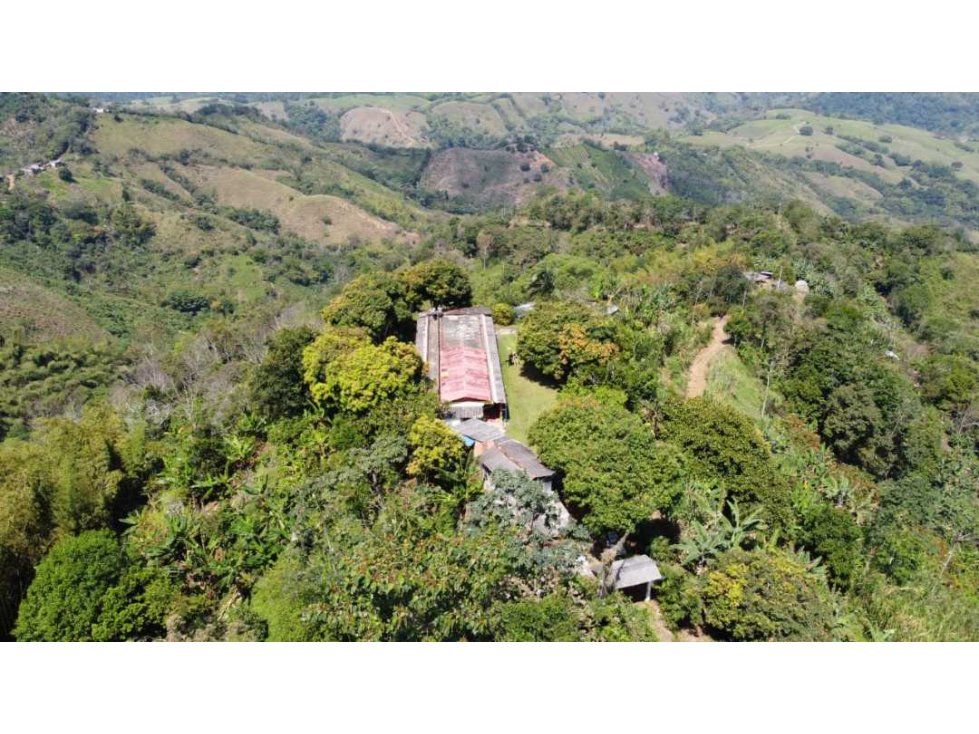 Venta de  finca via a marsella vereda la argentina