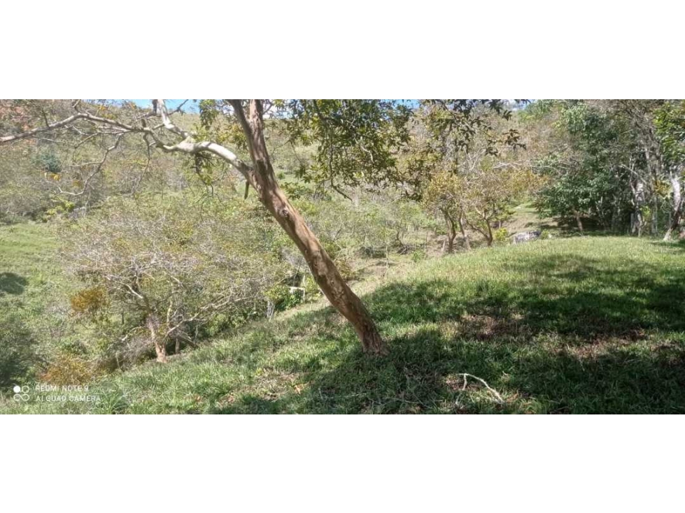 Venta de Lote 1000m2 en Alto de Matasano-Barbosa-antioquia