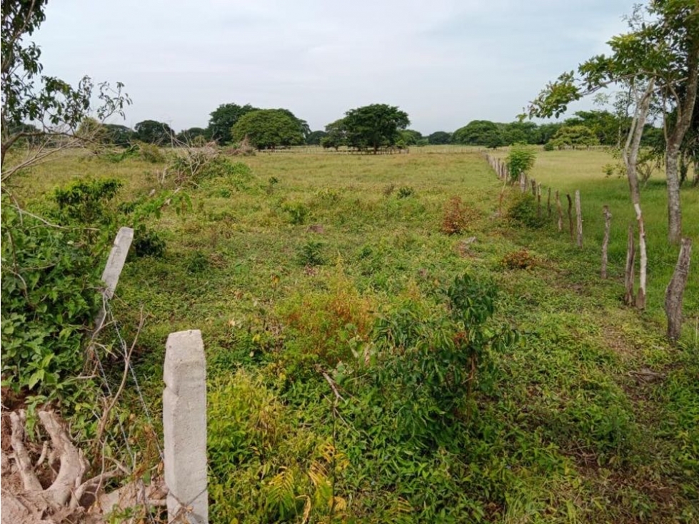 venta de lote el copey cesar