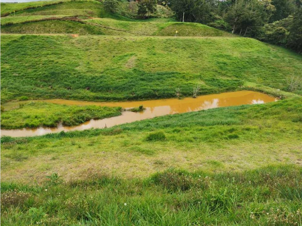 Venta de lote en el Carmen de Viboral