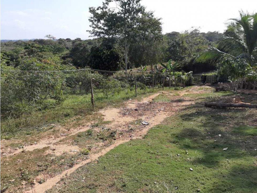 VENTA DE PARCELA VÍA PATIO BONITO, VEREDA EL Corozo, MONTERIA