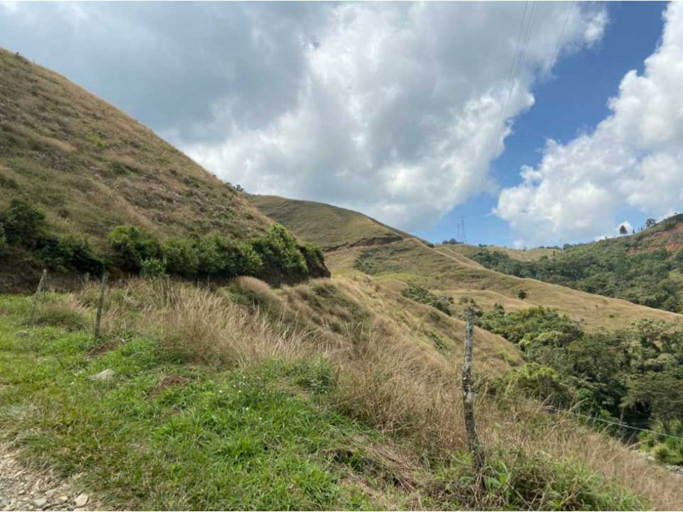 Venta finca en la unión antioquia para (Aguacate)