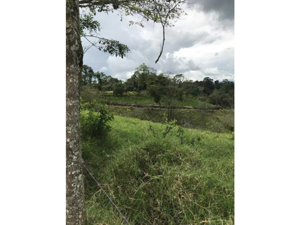 VENTA LOTE EN MARSELLA RISARALDA