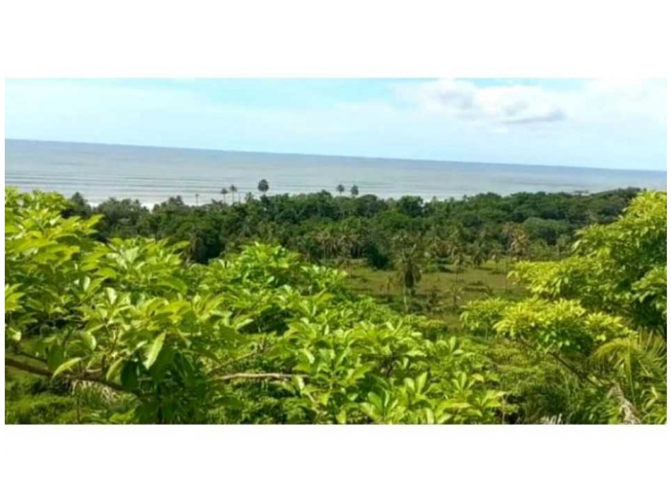 Venta Lote Único en Golfo de Urabá con Playa en Necocli