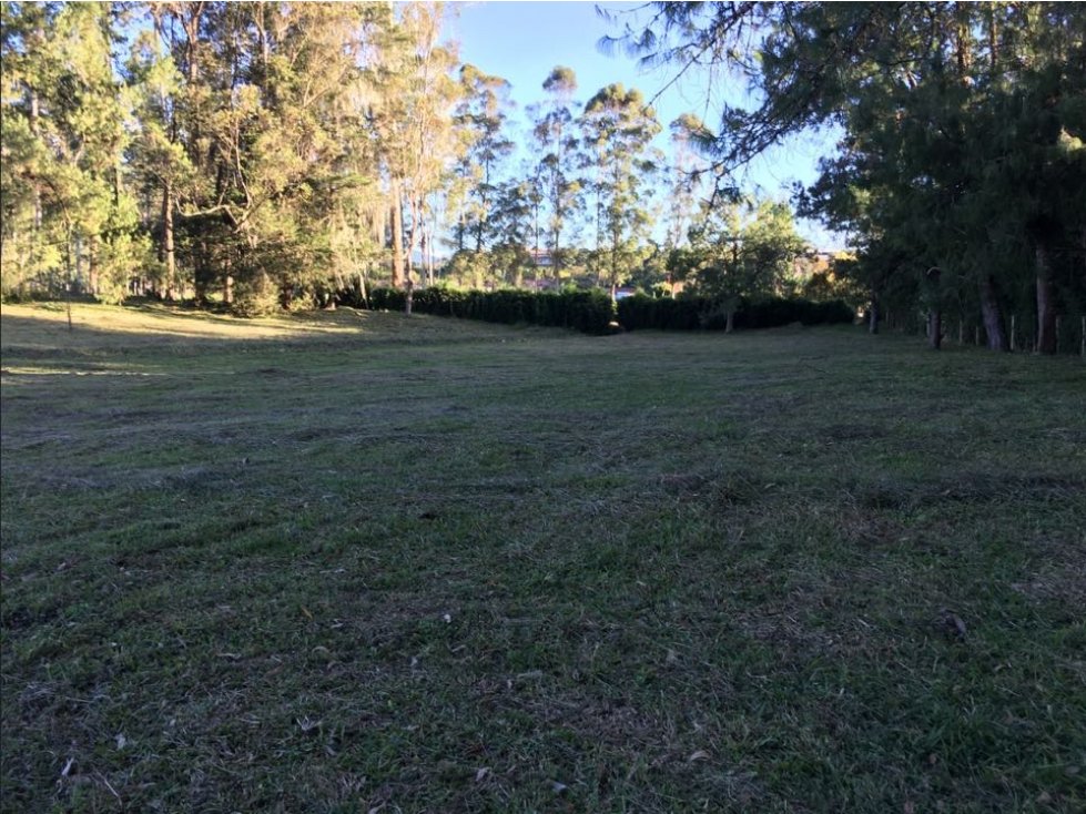 Venta lote rionegro llanogrande