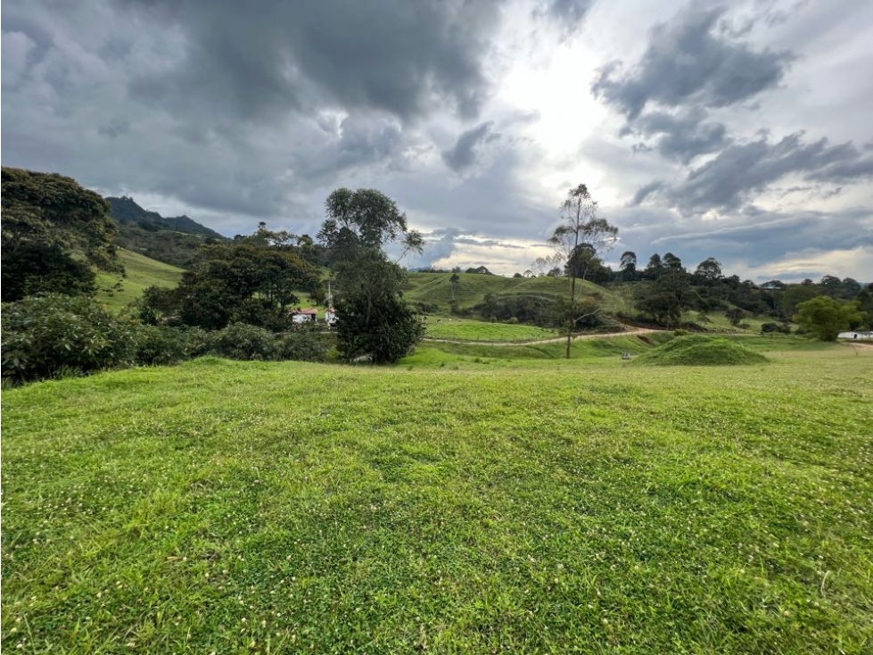 Venta lote rionegro, zona el capiro 18,000 mts