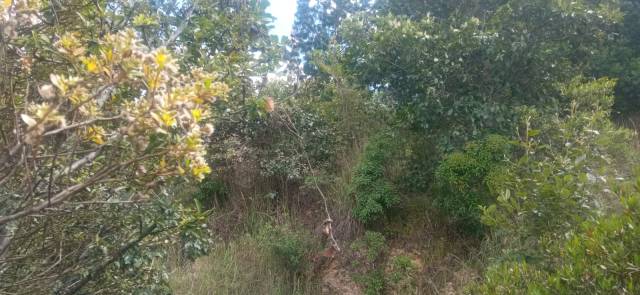 Se vende lote a 10 km de Ubaté