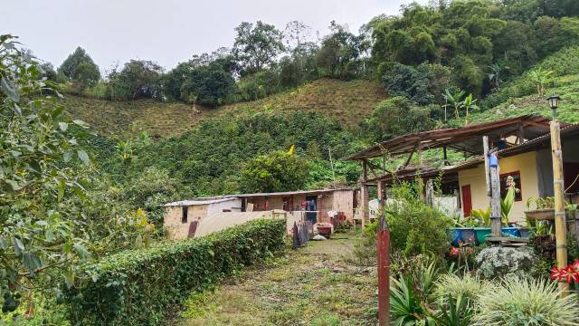 Finca en La Vereda San Bernardo bajo, en Sasaima