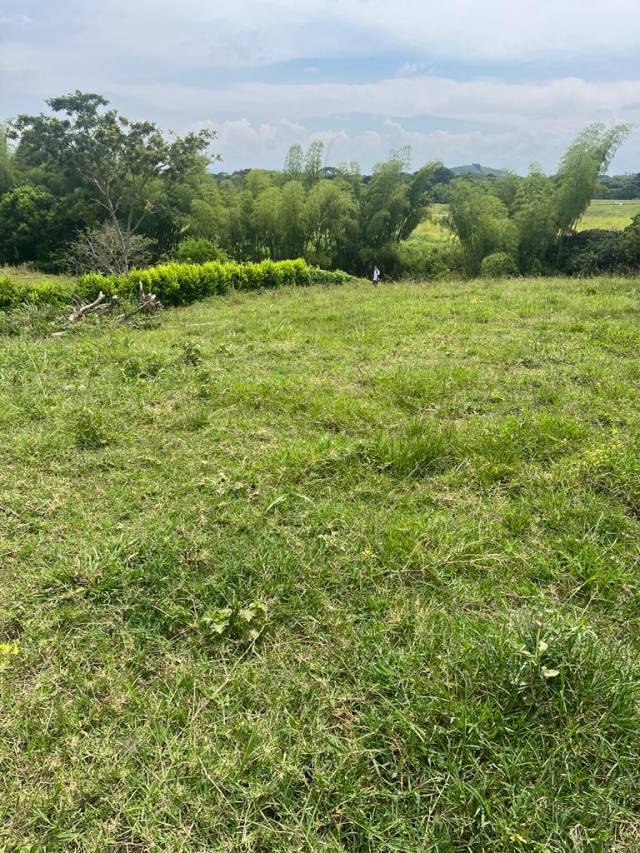 Lote Campestre en Cerritos Pereira