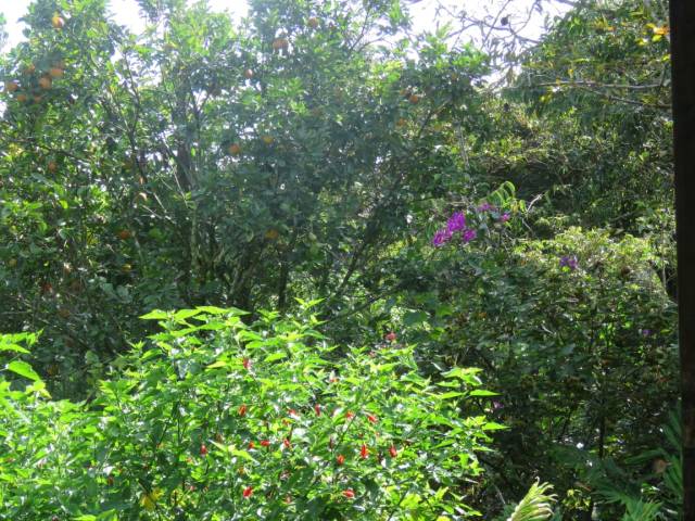 Arriendo casa campestre en La Vega, Cundinamarca.