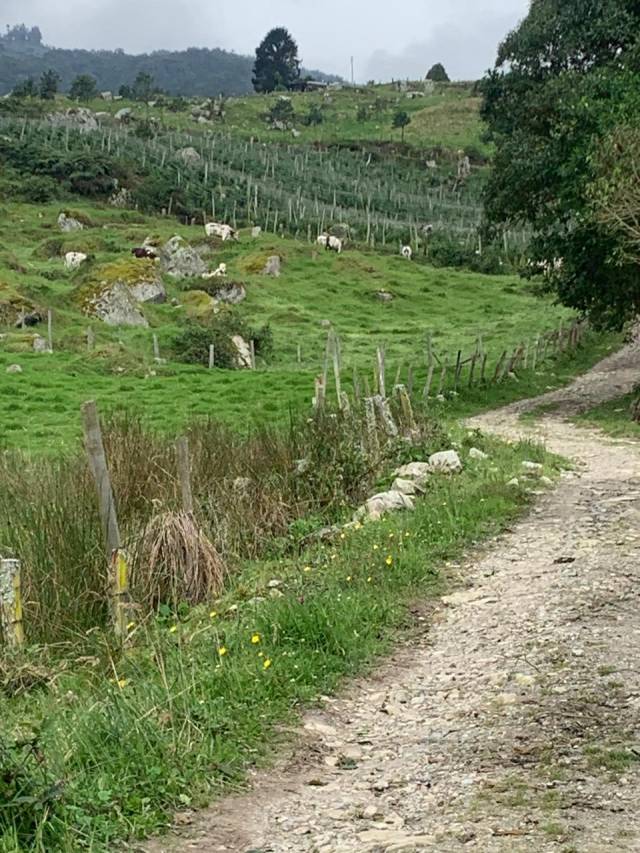 venta de Finca